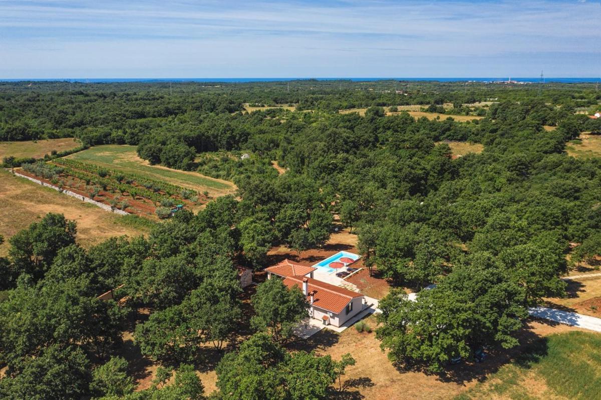 Villa Martinetinka Vodnjan Zewnętrze zdjęcie