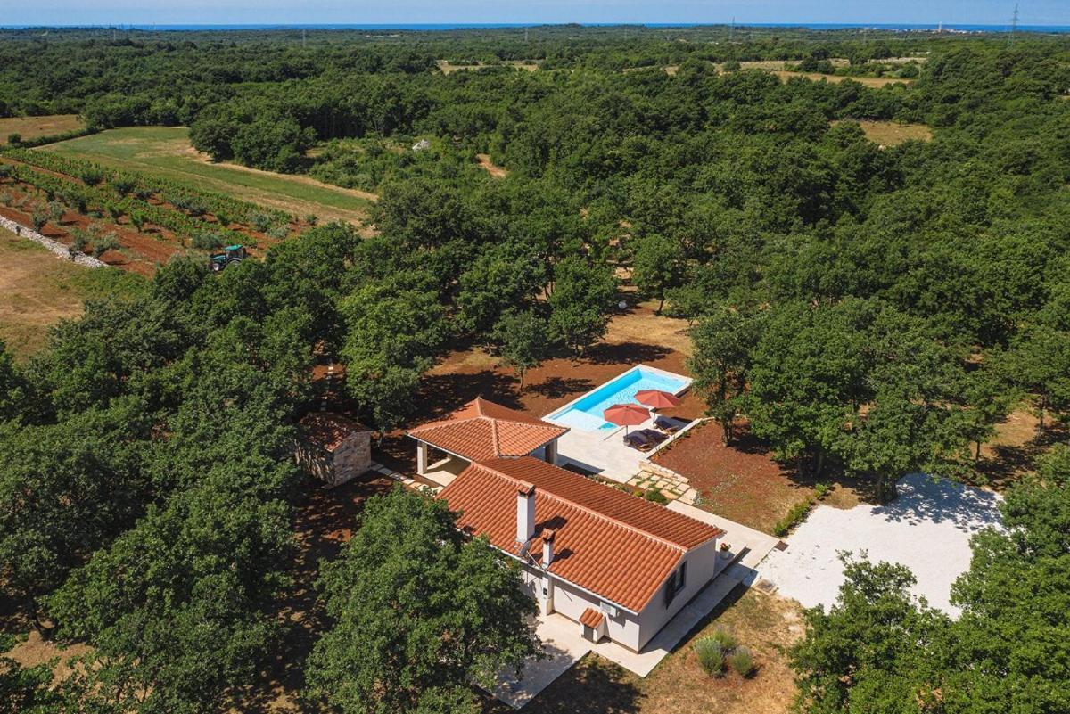Villa Martinetinka Vodnjan Zewnętrze zdjęcie
